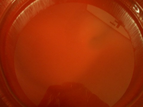 Rostschutz Haftgrund rotbraun